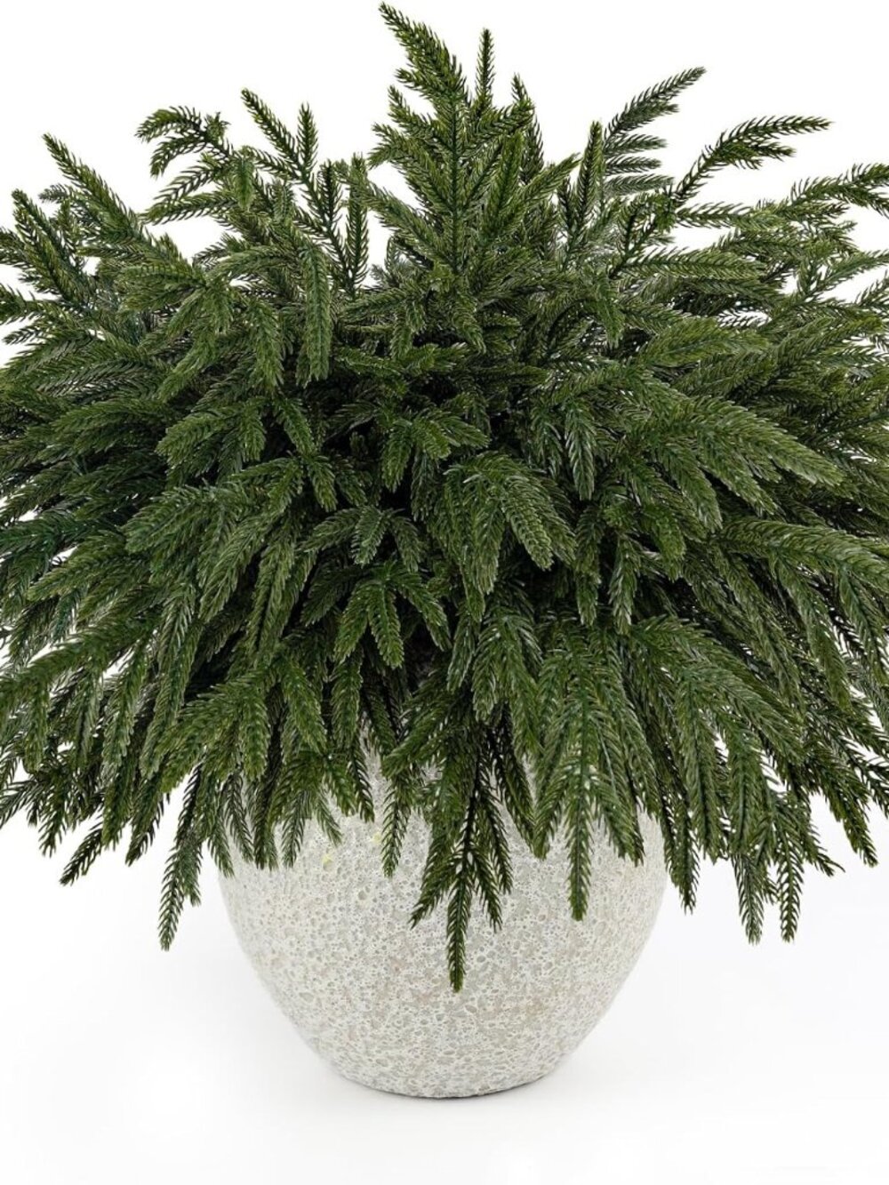 16 Pcs Christmas Norfolk Pine Branches